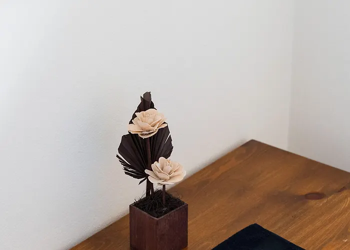 Soulis Appart hôtel 4*